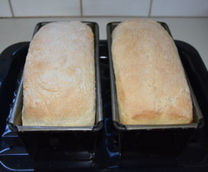 Taking baked bread from the oven